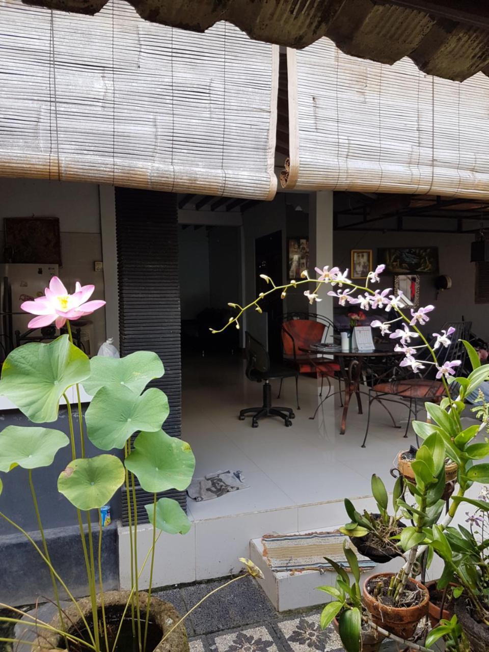 Mawar Homestay Canggu Екстер'єр фото